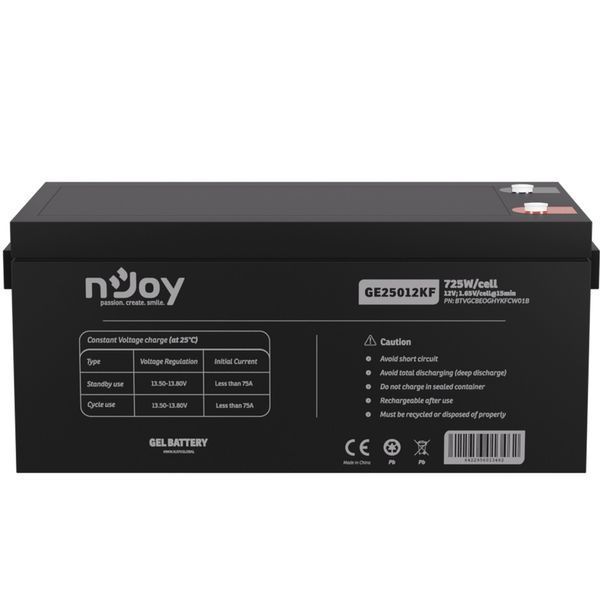 Акумуляторна батарея Njoy GE25012KF 12V 250AH (BTVGCBEOGHYKFCW01B) GEL GE25012KF фото