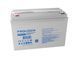 Акумуляторна батарея Prologix 12V 100AH ​​(PL12-100GEL) GEL PL12-100GEL фото 2