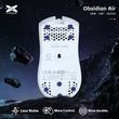 Mouse feet (glides) X-Raypad Obsidian Air DIY Mouse Skates Universal Dots, Universal dots